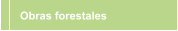 Obras forestales